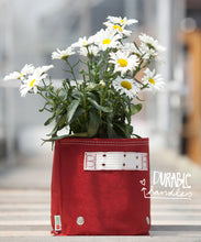 Load image into Gallery viewer, Garden care made easy with Bloombagz herb, shrub and flower planter with option to hang. Use indoor or outside gardens for lush plants all year round. Perfect landscape gardening for small spaces. Can also be used as a storage solution. Environmentally friendly made out of 100% recycled materials. Promotes growth of healthy roots and happy plants.