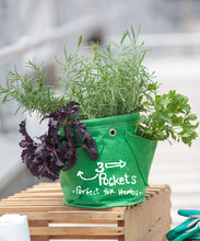 Load image into Gallery viewer, Bloombagz herb planter or storage solution with option to hang. Made out of 100% recycled materials. Use indoors or out. Promotes growth of healthy roots.