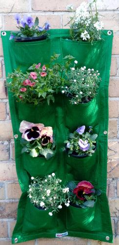 Bloombagz vertical garden, herb planter or wall hanging storage solution made out of recycled bottles   