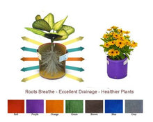 Load image into Gallery viewer, Garden care made easy with Bloombagz herb, shrub and flower planter with option to hang. Use indoor or outside gardens for lush plants all year round. Perfect landscape gardening for small spaces. Can also be used as a storage solution. Environmentally friendly made out of 100% recycled materials. Promotes growth of healthy roots and happy plants.