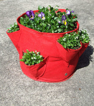 Load image into Gallery viewer, Bloombagz herb planter or storage solution with option to hang. Made out of 100% recycled materials. Use indoors or out. Promotes growth of healthy roots.