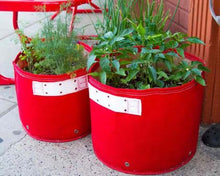 Load image into Gallery viewer, Garden care made easy with Bloombagz herb, shrub and flower planter with option to hang. Use indoor or outside gardens for lush plants all year round. Perfect landscape gardening for small spaces. Can also be used as a storage solution. Environmentally friendly made out of 100% recycled materials. Promotes growth of healthy roots and happy plants.