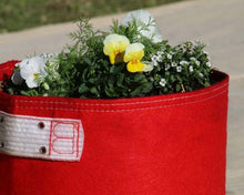 Load image into Gallery viewer, Garden care made easy with Bloombagz herb, shrub and flower planter with option to hang. Use indoor or outside gardens for lush plants all year round. Perfect landscape gardening for small spaces. Can also be used as a storage solution. Environmentally friendly made out of 100% recycled materials. Promotes growth of healthy roots and happy plants.