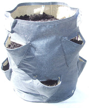 Load image into Gallery viewer, Bloombagz salad or strawberry planter. Alternatively it's a great storage solution. Made out of 100% recycled materials. Use indoors or out. Promotes growth of healthy roots.