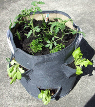 Load image into Gallery viewer, Bloombagz salad or strawberry planter. Alternatively it's a great storage solution. Made out of 100% recycled materials. Use indoors or out. Promotes growth of healthy roots.