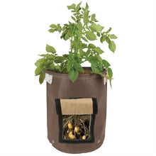 Load image into Gallery viewer, Growing potatoes is easy with the Bloombagz Potato Planter. Use indoor or outside gardens for lush plants all year round. Perfect landscape gardening for small spaces. Can also be used as a storage solution. Environmentally friendly made out of 100% recycled materials. Promotes growth of healthy potatoes. Velcro side-window flap allows you to conveniently harvest your spuds beneath the soil one at a time.