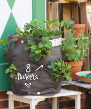 Load image into Gallery viewer, Bloombagz salad or strawberry planter. Alternatively it&#39;s a great storage solution. Made out of 100% recycled materials. Use indoors or out. Promotes growth of healthy roots. 
