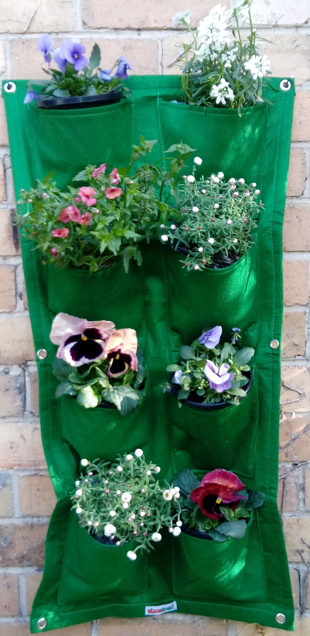 Bloombagz vertical garden, herb planter or wall hanging storage solution made out of recycled bottles   