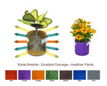 Load image into Gallery viewer, Garden care made easy with Bloombagz herb, shrub and flower planter with option to hang. Use indoor or outside gardens for lush plants all year round. Perfect landscape gardening for small spaces. Can also be used as a storage solution. Environmentally friendly made out of 100% recycled materials. Promotes growth of healthy roots and happy plants. 
