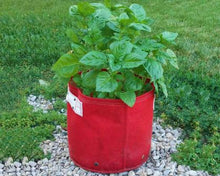 Load image into Gallery viewer, Garden care made easy with Bloombagz herb, shrub and flower planter with option to hang. Use indoor or outside gardens for lush plants all year round. Perfect landscape gardening for small spaces. Can also be used as a storage solution. Environmentally friendly made out of 100% recycled materials. Promotes growth of healthy roots and happy plants. 
