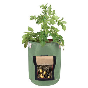 Growing potatoes is easy with the Bloombagz Potato Planter. Use indoor or outside gardens for lush plants all year round. Perfect landscape gardening for small spaces. Can also be used as a storage solution. Environmentally friendly made out of 100% recycled materials. Promotes growth of healthy potatoes. Velcro side-window flap allows you to conveniently harvest your spuds beneath the soil one at a time. 